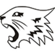 Dongguan Snow Wolf Auto Parts Co.,Ltd.
