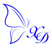 Zhongshan Xuandie Technology Co., Ltd