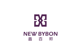 Dongguan Xinbaibang Hardware Accessories Co. Ltd