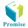 Ningbo Hi-tech Zone Promise Trading Co. Ltd