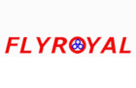 Dongguan Flyroyal  Electronics Co.Ltd