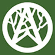 Qingdao Alliance-Sunda Imp&Exp Co. Ltd