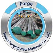 Hebei Forging New Materials Co., Ltd.