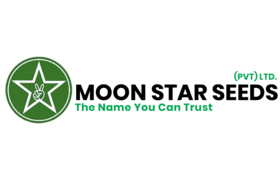 Moon Star Seeds Pvt Ltd