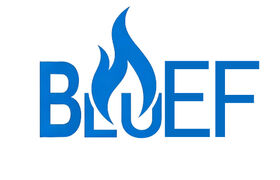 Hong Kong Blue Flame Technology Co., Limited