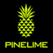 Pinelime Technology Co., Ltd.