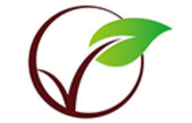 Wenin Electronic Technology Co. Ltd