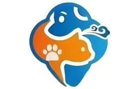 Sihong Jucheng Sporting Goods Co., Ltd.