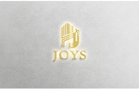 Hangzhou Joys Import And Export Co.  Ltd