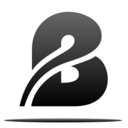 Shenzhen Bonusis Electronic Technology Co. Ltd