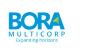 Bora Mobility LLP