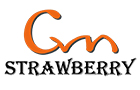 Dongguan City Strawberry Electronic Co.Ltd