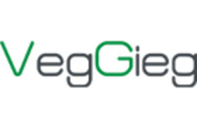Dongguan Weige Electronic Technology Co., Ltd