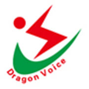 Shenzhen Dragon Voices Electronics Co., Ltd