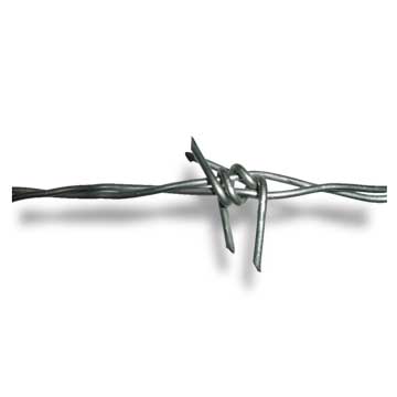 Single- or double-strand stainless steel barbed wire | Global Sources
